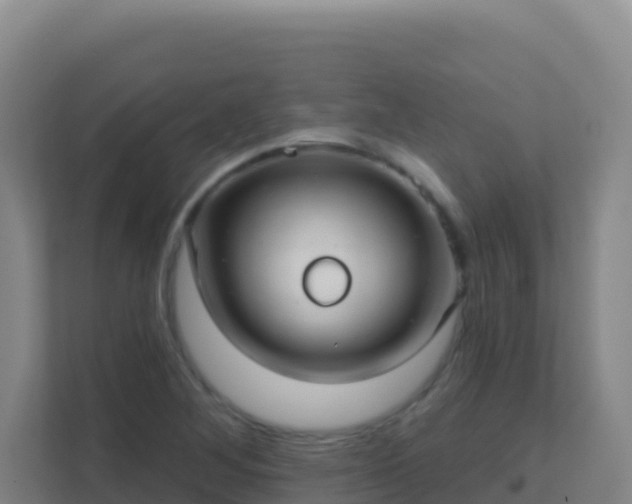 X0000111671268200907241205