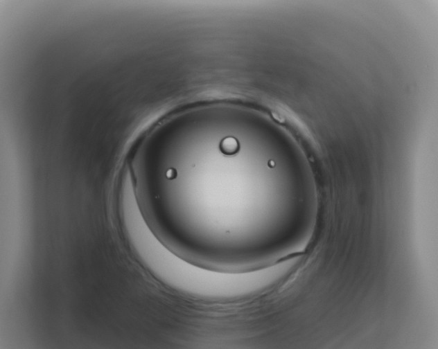 X0000111671269200907241205