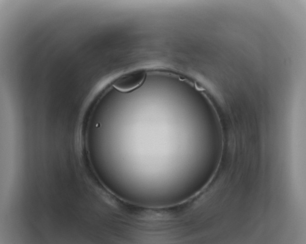 X0000111671270200907241205