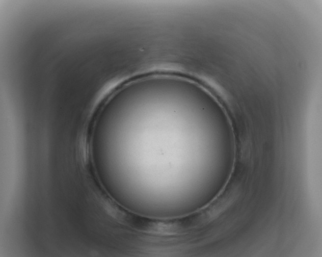 X0000111671271200907241205