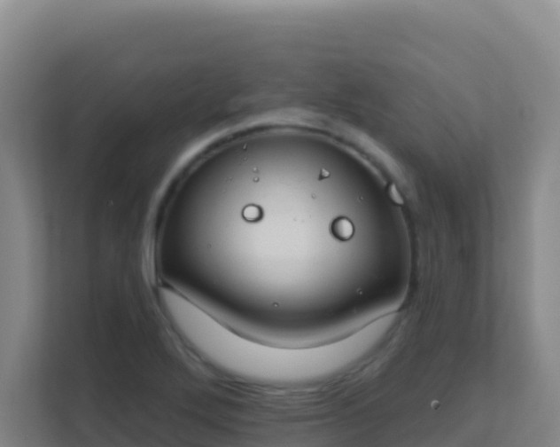 X0000111671272200907241205