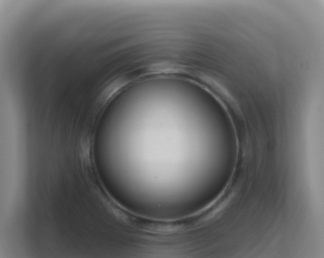 X0000111671273200907241205