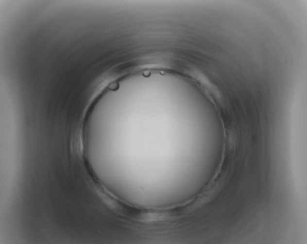 X0000111671274200907241205