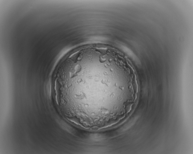 X0000111671275200907241205