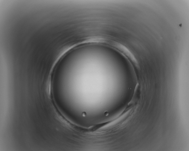 X0000111671276200907241205