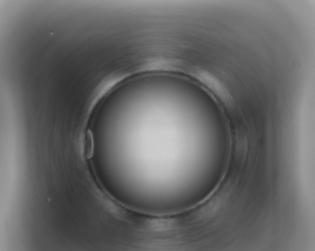 X0000111671277200907241205