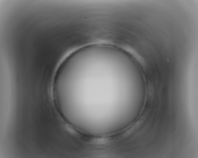 X0000111671278200907241205