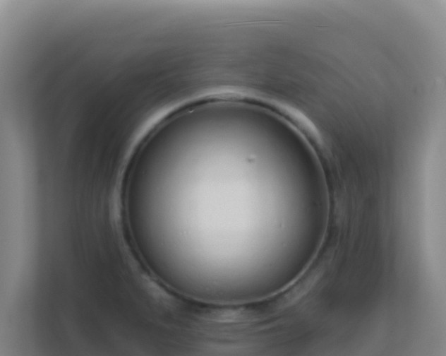 X0000111671279200907241205