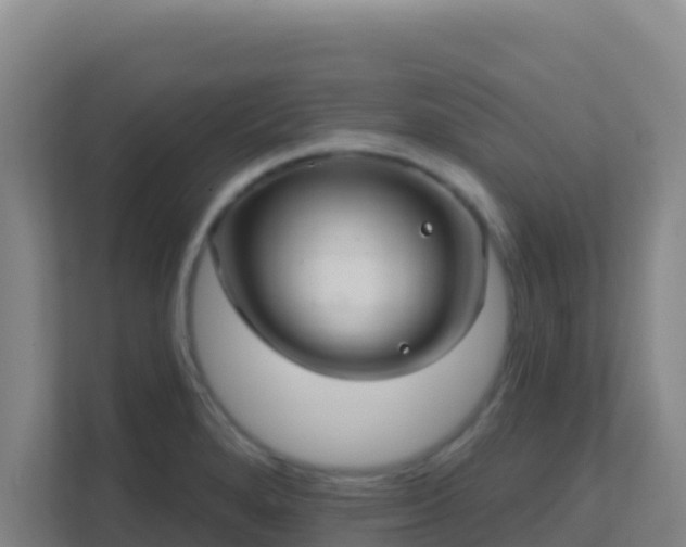 X0000111671280200907241205