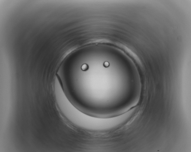 X0000111671281200907241205