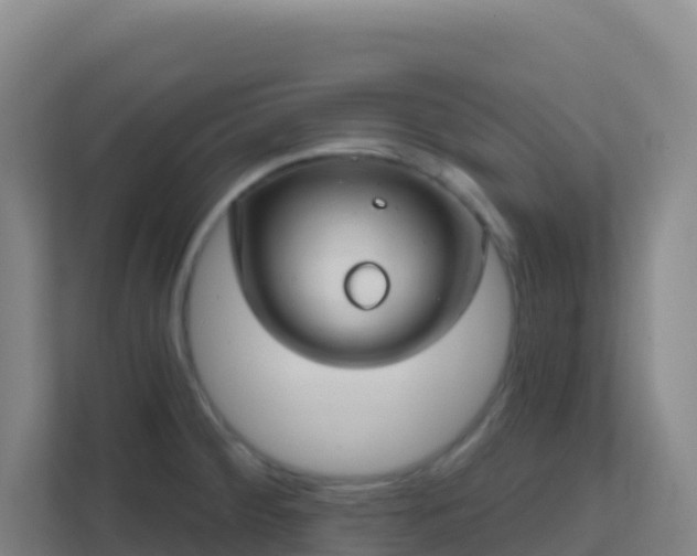 X0000111671284200907241205