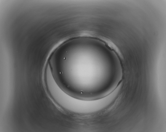 X0000111671285200907241205