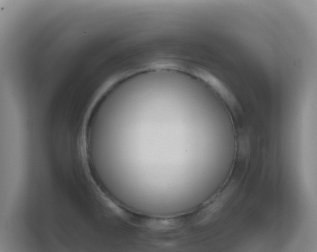 X0000111671286200907241205