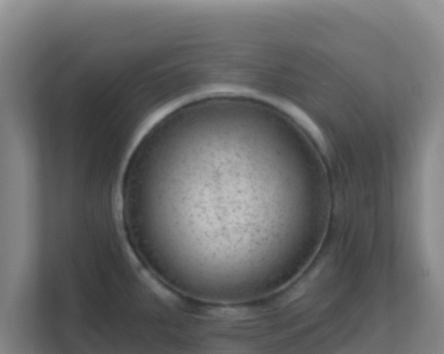 X0000111671287200907241205