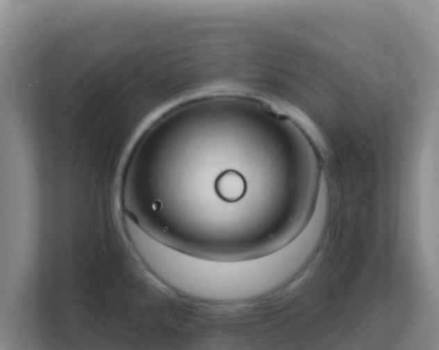 X0000111671288200907241205