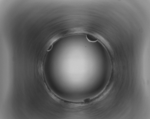 X0000111671289200907241205