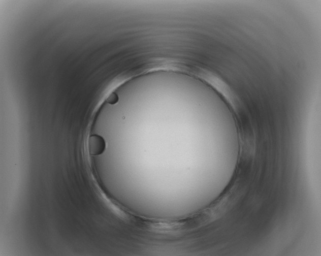 X0000111671290200907241205