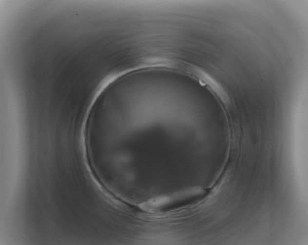 X0000111671291200907241204