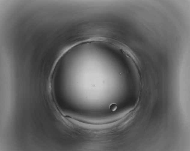 X0000111671292200907241204