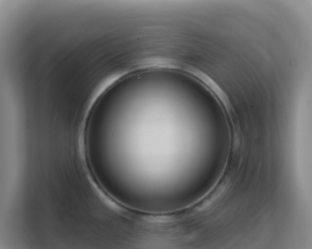 X0000111671293200907241204