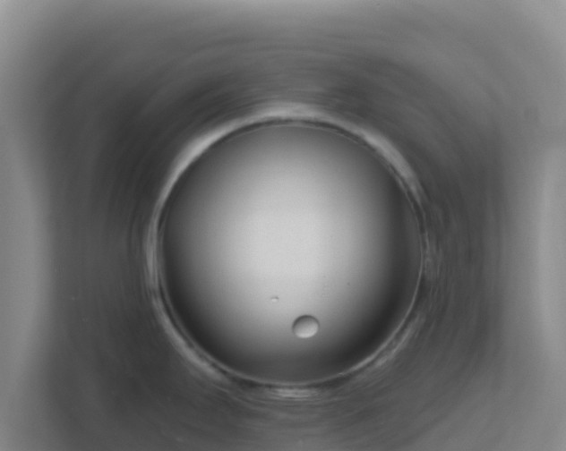 X0000111671295200907241204