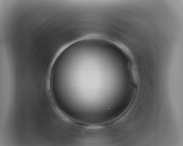 X0000111671296200907241204