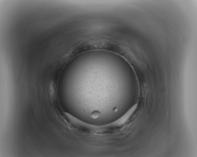 X0000111671298200907241204