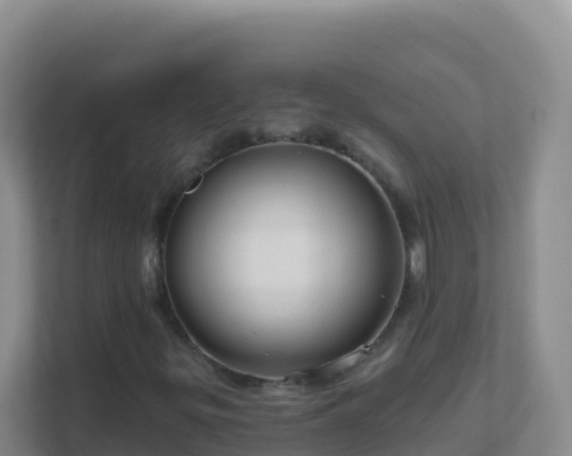 X0000111671299200907241204