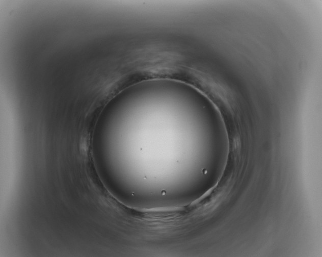 X0000111671300200907241204