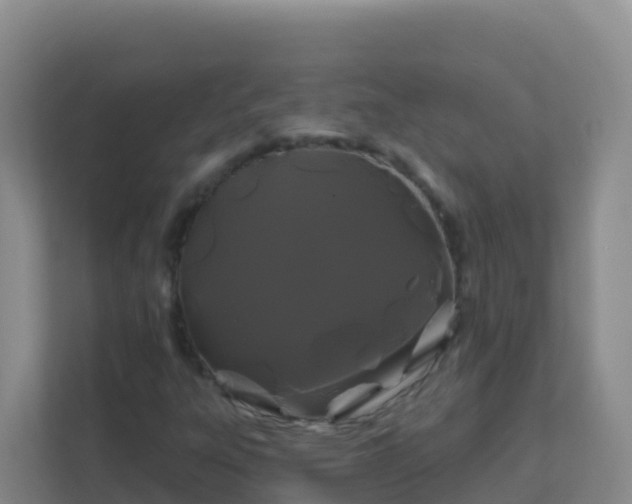 X0000111671303200907241204