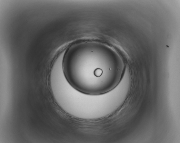 X0000111671304200907241204