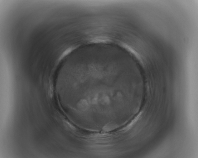 X0000111671306200907241204