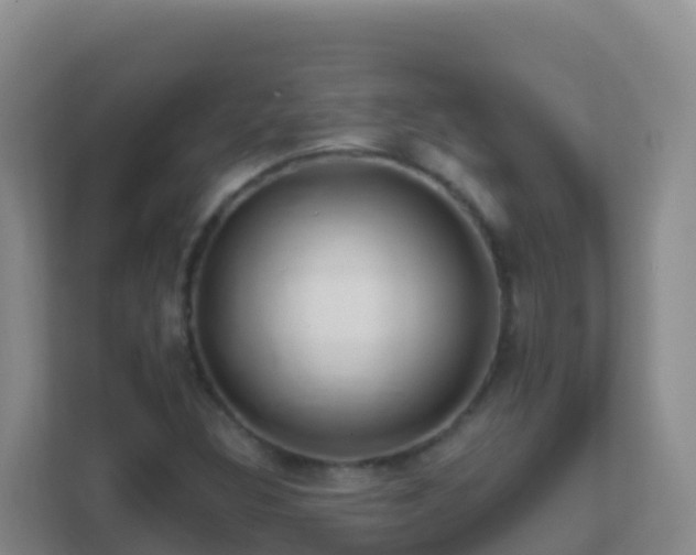 X0000111671308200907241204