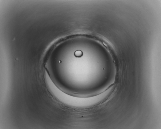 X0000111671310200907241204