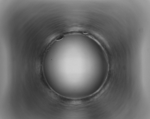 X0000111671313200907241204