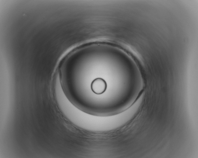 X0000111671316200907241204