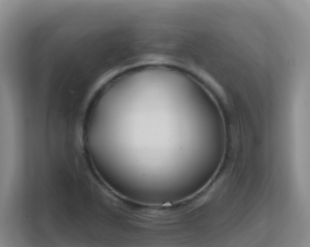 X0000111671318200907241204