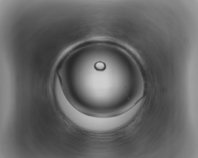 X0000111671319200907241204