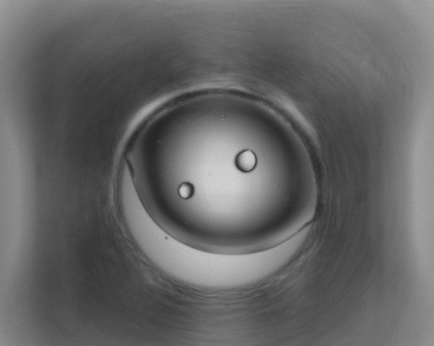 X0000111671320200907241204