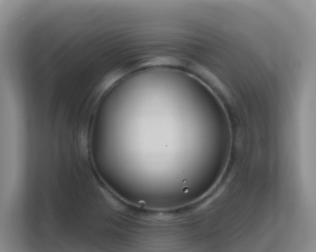 X0000111671321200907241204