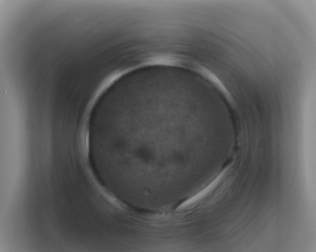 X0000111671323200907241204