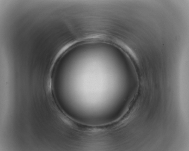 X0000111671324200907241204