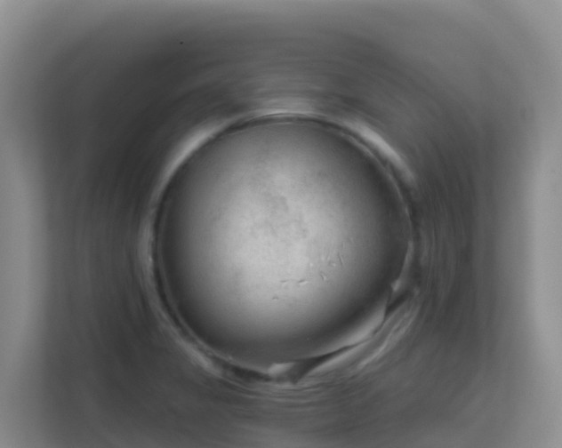 X0000111671325200907241204