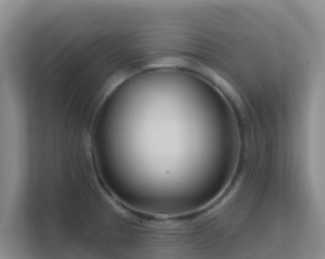 X0000111671329200907241204