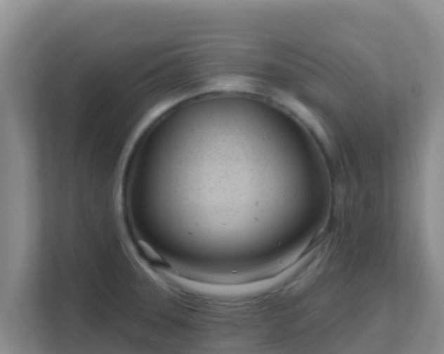 X0000111671331200907241204