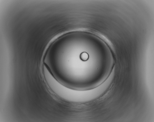 X0000111671332200907241204