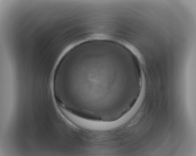 X0000111671334200907241204