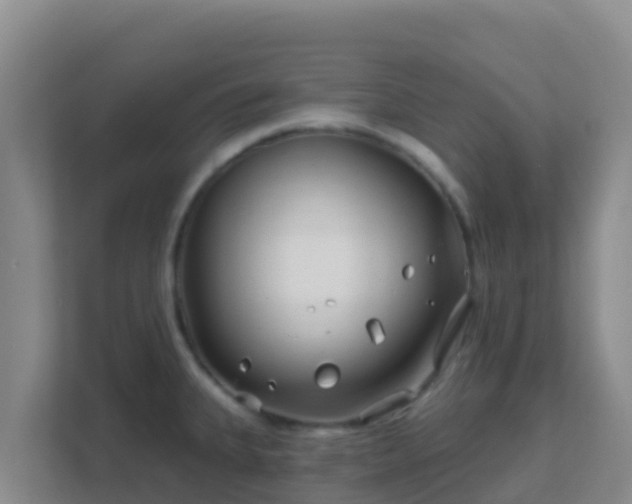 X0000111671335200907241204