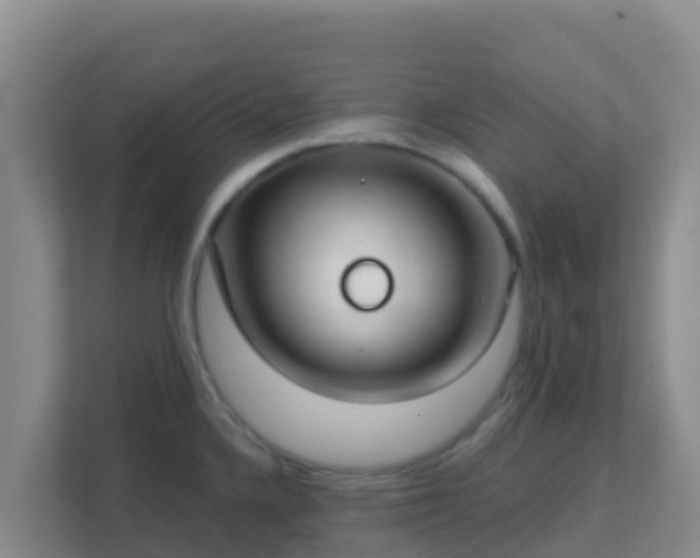 X0000111671336200907241204