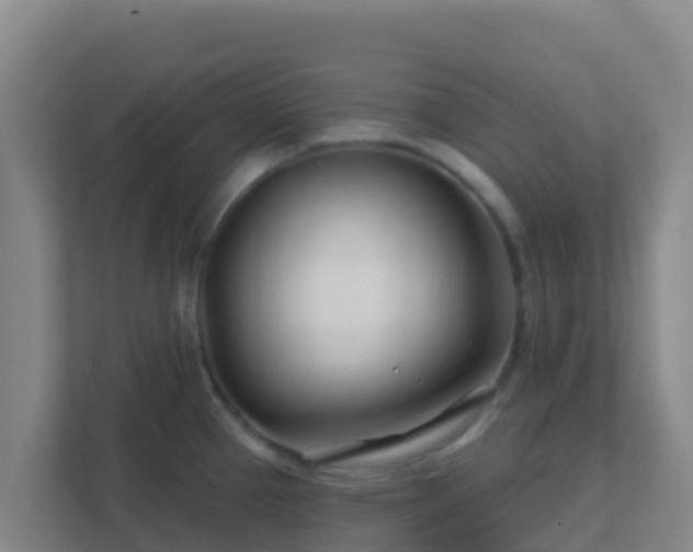 X0000111671337200907241204